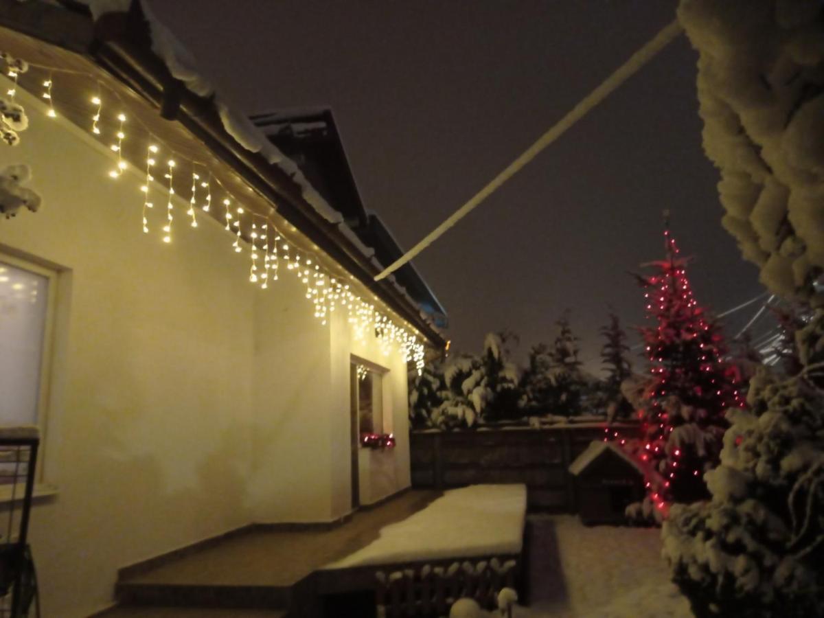 Cosy Apart Satu Mare Dış mekan fotoğraf