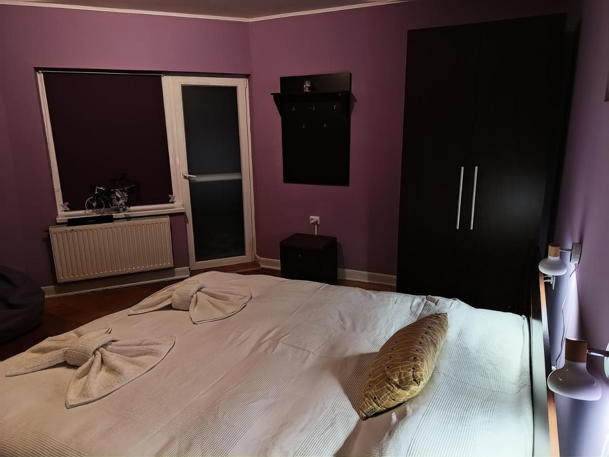 Cosy Apart Satu Mare Dış mekan fotoğraf