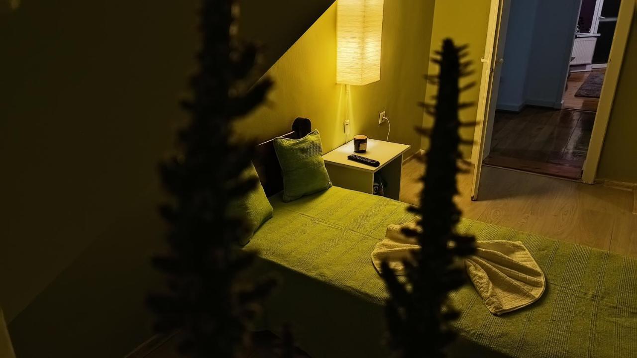 Cosy Apart Satu Mare Dış mekan fotoğraf